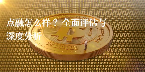 点融怎么样？ 全面评估与深度分析_https://wap.sdyuehang.cn_产经新闻_第1张