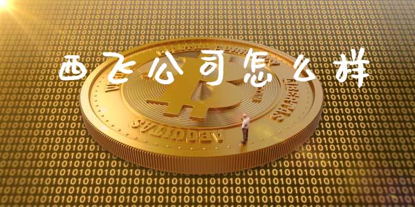 西飞公司怎么样_https://wap.sdyuehang.cn_美股行情_第1张