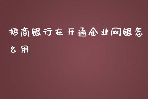 招商银行在开通企业网银怎么用_https://wap.sdyuehang.cn_新股申购_第1张