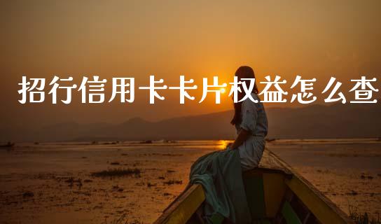 招行信用卡卡片权益怎么查_https://wap.sdyuehang.cn_美股行情_第1张