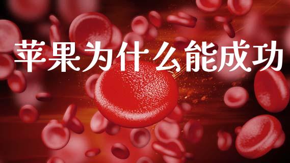 苹果为什么能成功_https://wap.sdyuehang.cn_美股行情_第1张