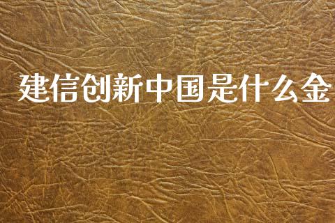 建信创新中国是什么金_https://wap.sdyuehang.cn_美股行情_第1张