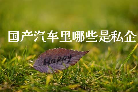 国产汽车里哪些是私企_https://wap.sdyuehang.cn_产经新闻_第1张