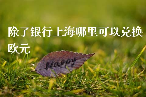 除了银行上海哪里可以兑换欧元_https://wap.sdyuehang.cn_新股申购_第1张