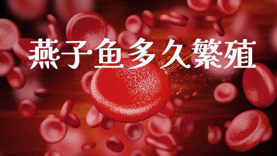 燕子鱼多久繁殖_https://wap.sdyuehang.cn_债券资讯_第1张