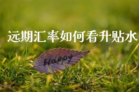 远期汇率如何看升贴水_https://wap.sdyuehang.cn_美股行情_第1张