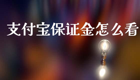 支付宝保证金怎么看_https://wap.sdyuehang.cn_美股行情_第1张