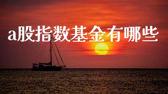a股指数基金有哪些_https://wap.sdyuehang.cn_新股申购_第1张