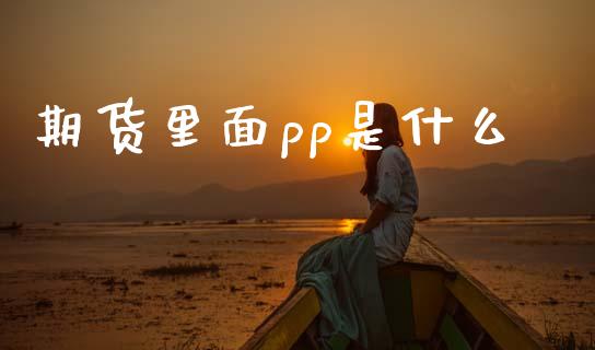 期货里面pp是什么_https://wap.sdyuehang.cn_新股申购_第1张