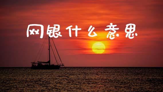 网银什么意思_https://wap.sdyuehang.cn_债券资讯_第1张