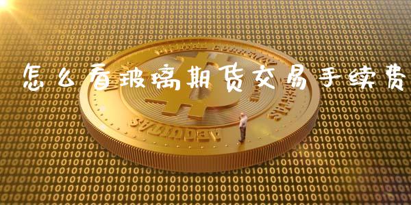 怎么看玻璃期货交易手续费_https://wap.sdyuehang.cn_新股申购_第1张