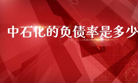 中石化的负债率是多少_https://wap.sdyuehang.cn_产经新闻_第1张
