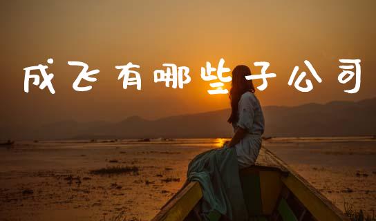 成飞有哪些子公司_https://wap.sdyuehang.cn_美股行情_第1张