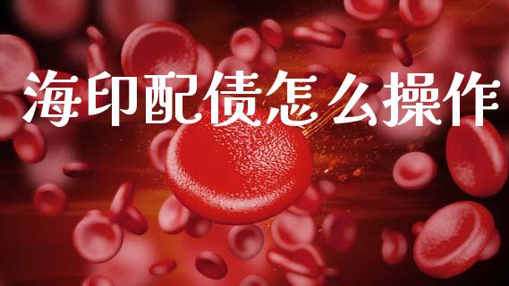 海印配债怎么操作_https://wap.sdyuehang.cn_美股行情_第1张