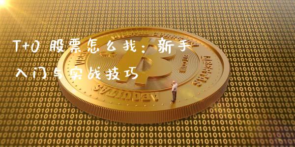 T+0 股票怎么找：新手入门与实战技巧_https://wap.sdyuehang.cn_美股行情_第1张