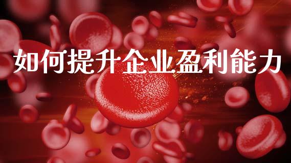如何提升企业盈利能力_https://wap.sdyuehang.cn_新股申购_第1张