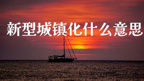 新型城镇化什么意思_https://wap.sdyuehang.cn_新股申购_第1张
