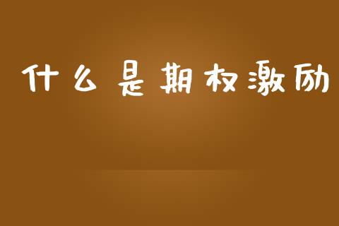 什么是期权激励_https://wap.sdyuehang.cn_债券资讯_第1张