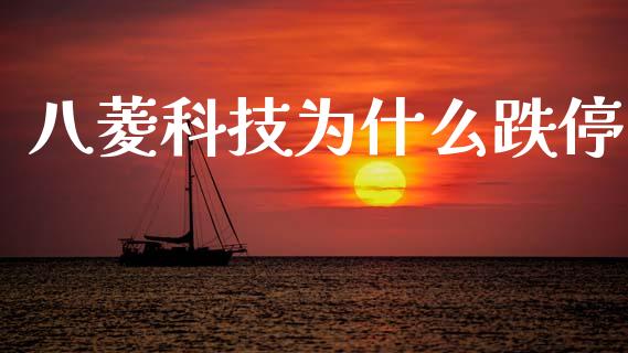 八菱科技为什么跌停_https://wap.sdyuehang.cn_债券资讯_第1张