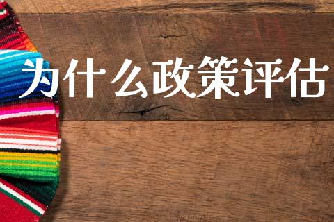 为什么政策评估_https://wap.sdyuehang.cn_债券资讯_第1张