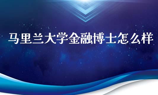 马里兰大学金融博士怎么样_https://wap.sdyuehang.cn_产经新闻_第1张