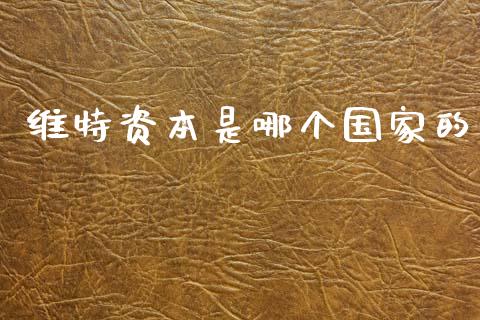 维特资本是哪个国家的_https://wap.sdyuehang.cn_产经新闻_第1张