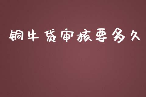 铜牛贷审核要多久_https://wap.sdyuehang.cn_新股申购_第1张