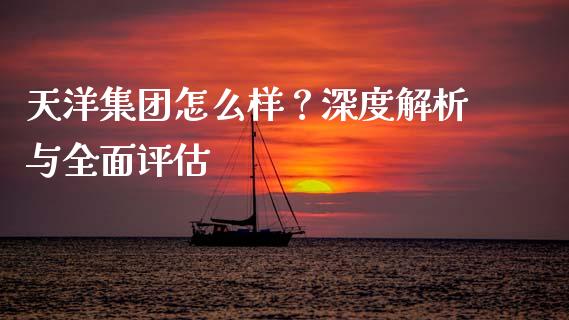 天洋集团怎么样？深度解析与全面评估_https://wap.sdyuehang.cn_美股行情_第1张