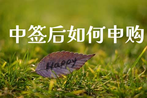 中签后如何申购_https://wap.sdyuehang.cn_新股申购_第1张