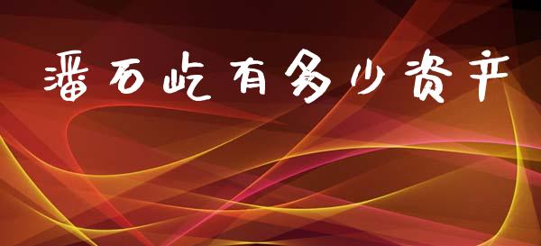 潘石屹有多少资产_https://wap.sdyuehang.cn_美股行情_第1张