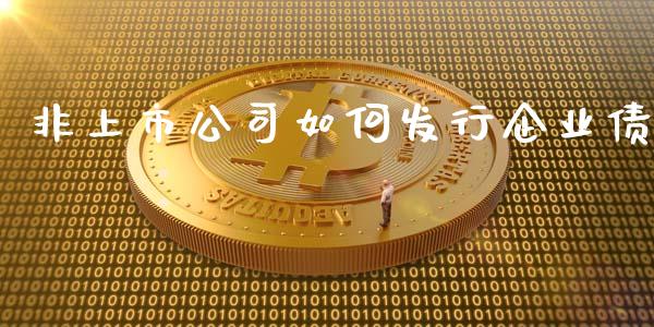 非上市公司如何发行企业债_https://wap.sdyuehang.cn_新股申购_第1张