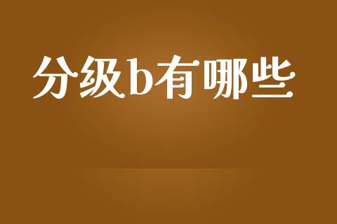 分级b有哪些_https://wap.sdyuehang.cn_债券资讯_第1张