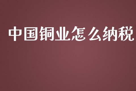 中国铜业怎么纳税_https://wap.sdyuehang.cn_新股申购_第1张