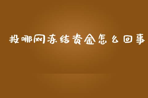 投哪网冻结资金怎么回事_https://wap.sdyuehang.cn_债券资讯_第1张