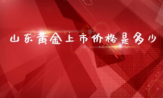 山东黄金上市价格是多少_https://wap.sdyuehang.cn_新股申购_第1张