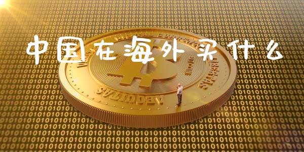 中国在海外买什么_https://wap.sdyuehang.cn_产经新闻_第1张
