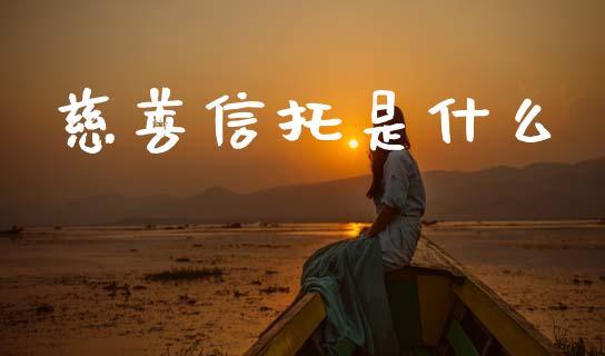 慈善信托是什么_https://wap.sdyuehang.cn_新股申购_第1张