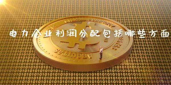 电力企业利润分配包括哪些方面_https://wap.sdyuehang.cn_产经新闻_第1张