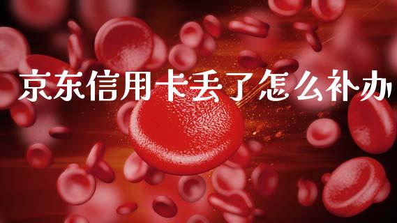 京东信用卡丢了怎么补办_https://wap.sdyuehang.cn_产经新闻_第1张