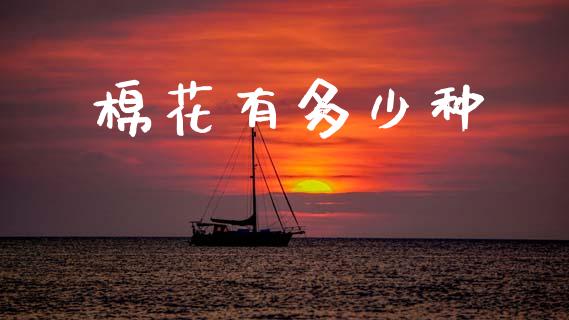 棉花有多少种_https://wap.sdyuehang.cn_债券资讯_第1张