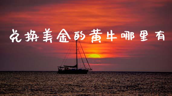 兑换美金的黄牛哪里有_https://wap.sdyuehang.cn_产经新闻_第1张