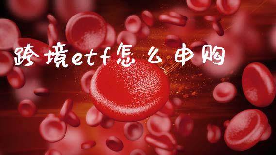 跨境etf怎么申购_https://wap.sdyuehang.cn_新股申购_第1张