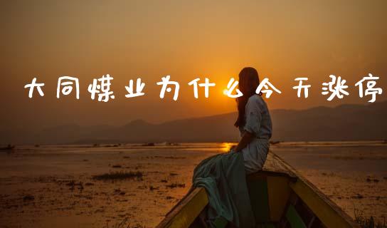 大同煤业为什么今天涨停_https://wap.sdyuehang.cn_产经新闻_第1张