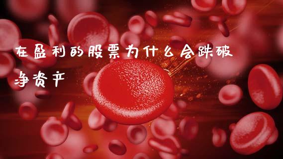 在盈利的股票为什么会跌破净资产_https://wap.sdyuehang.cn_产经新闻_第1张