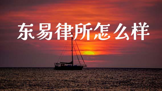 东易律所怎么样_https://wap.sdyuehang.cn_债券资讯_第1张