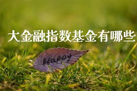 大金融指数基金有哪些_https://wap.sdyuehang.cn_债券资讯_第1张