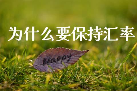 为什么要保持汇率_https://wap.sdyuehang.cn_产经新闻_第1张