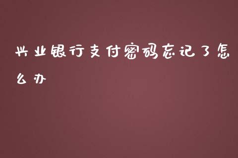 兴业银行支付密码忘记了怎么办_https://wap.sdyuehang.cn_债券资讯_第1张