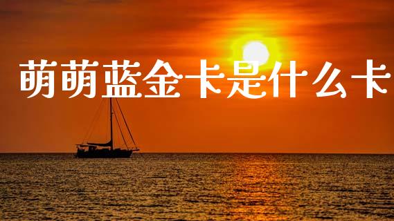 萌萌蓝金卡是什么卡_https://wap.sdyuehang.cn_美股行情_第1张