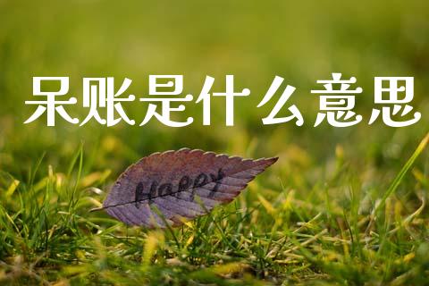 呆账是什么意思_https://wap.sdyuehang.cn_美股行情_第1张